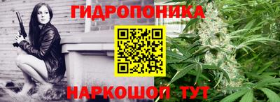 скорость Брянск